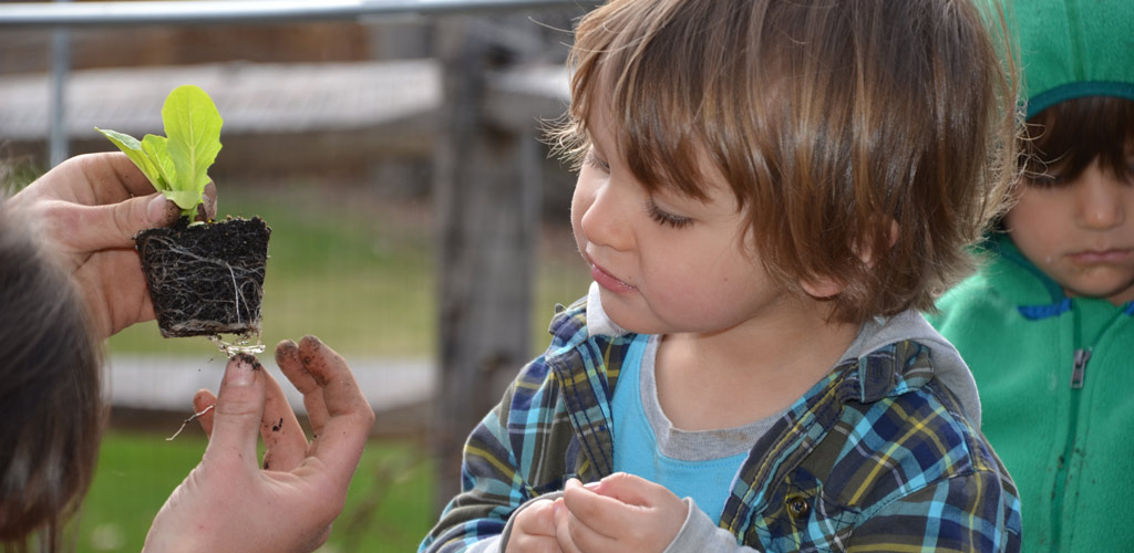 Westbrook Nature School