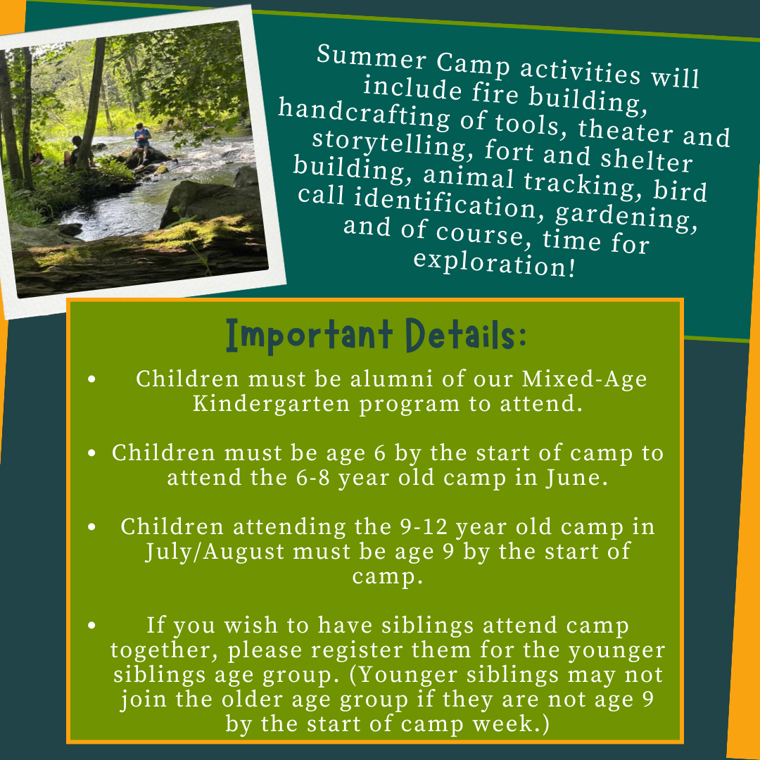 Westbrook Nature Camp 2024 (7)