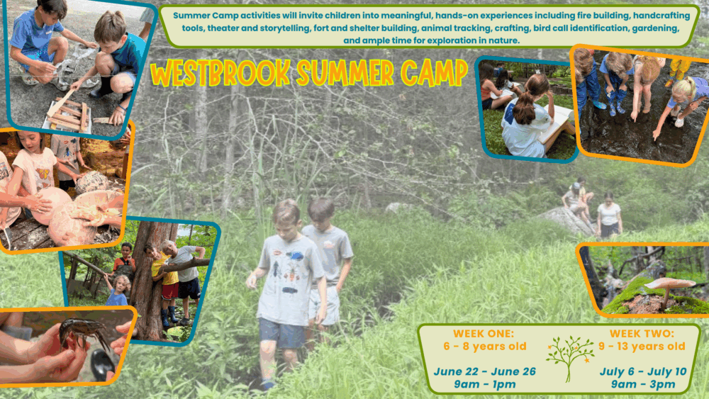 Copy of Alumni Summer Camp 2026 (1)